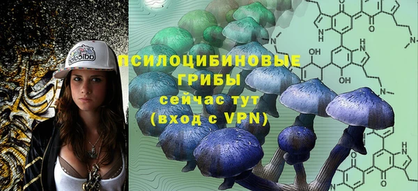 соль ск Балахна