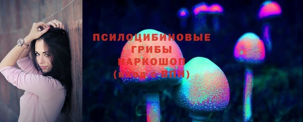 шишки Балабаново