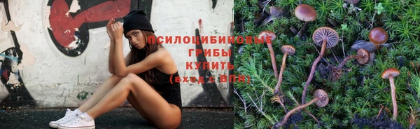 шишки Балабаново